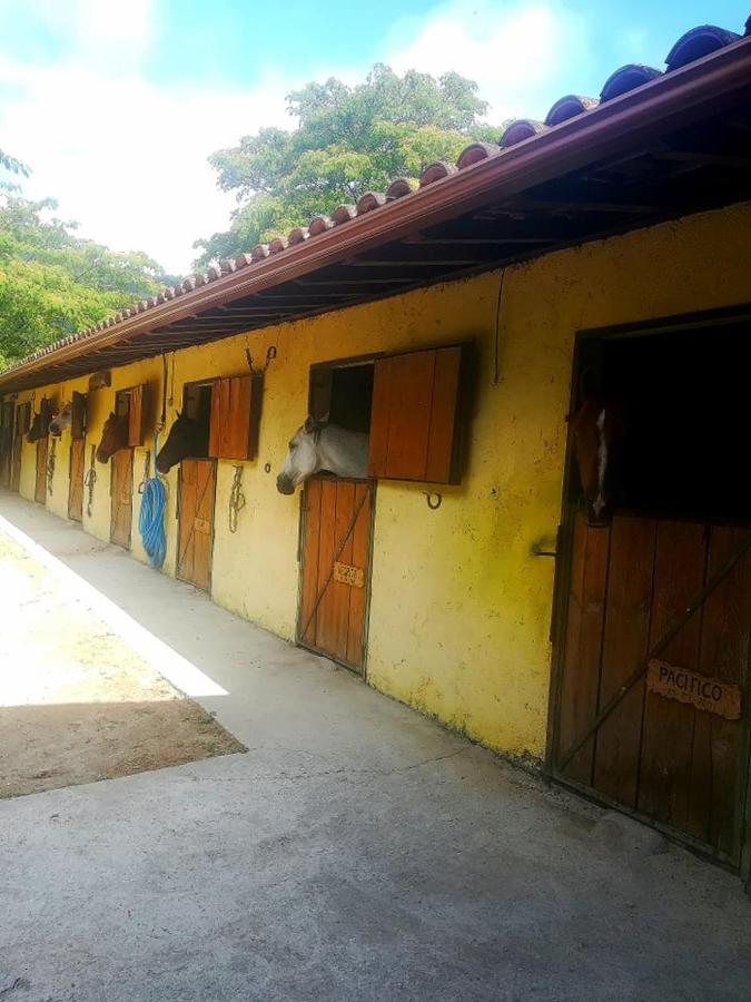 Quinta Do Fijo Vila Arcos de Valdevez Exterior foto